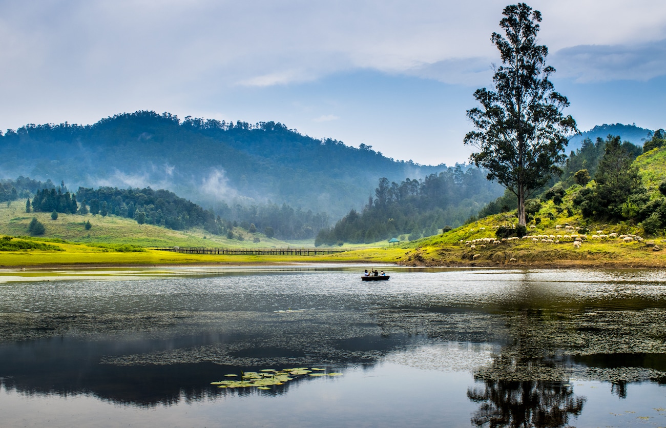 14 Hotels to Stay at Near The Kodaikanal Lake