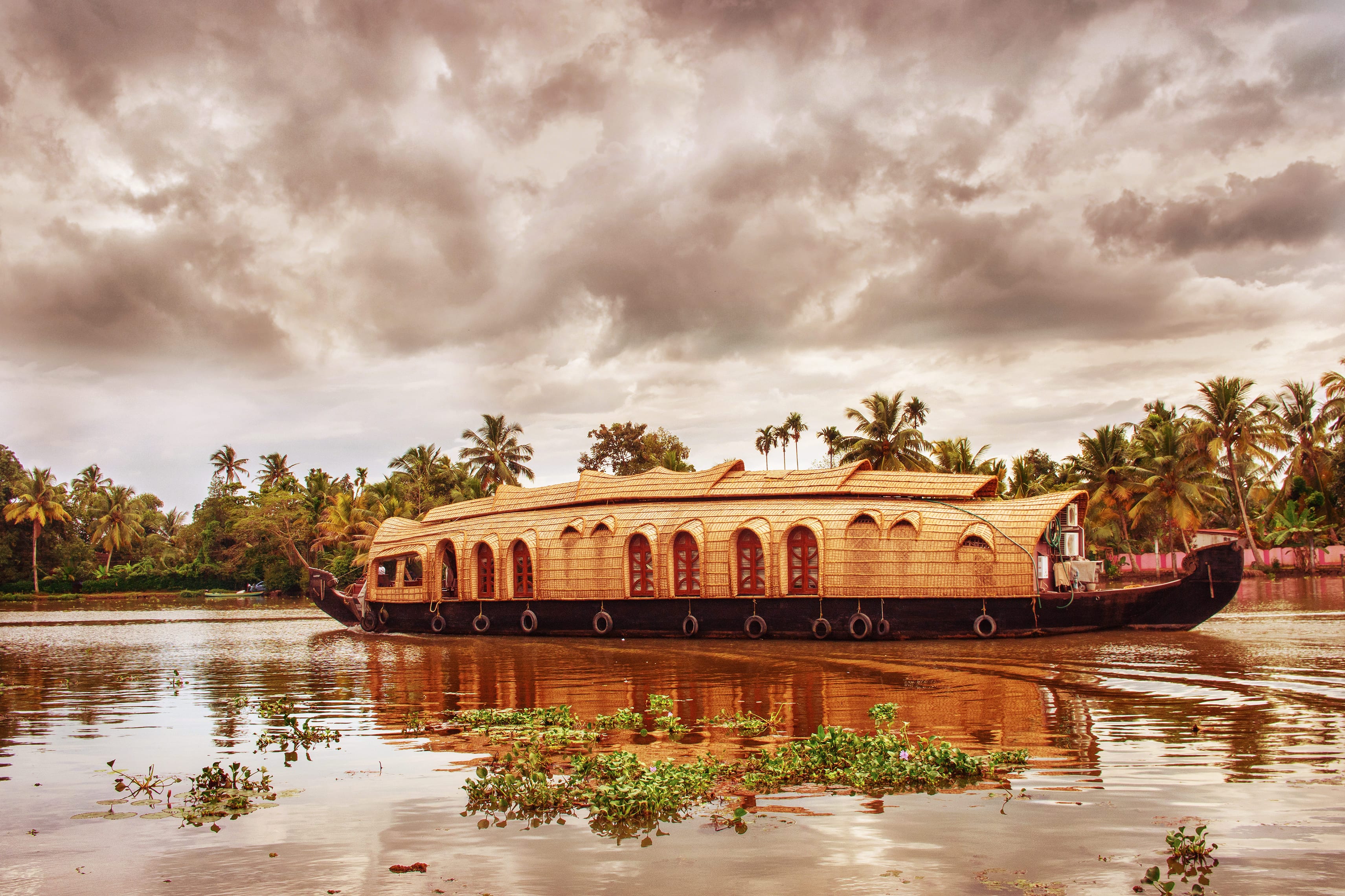 Here are 10 Exciting Things To Do in Kochi