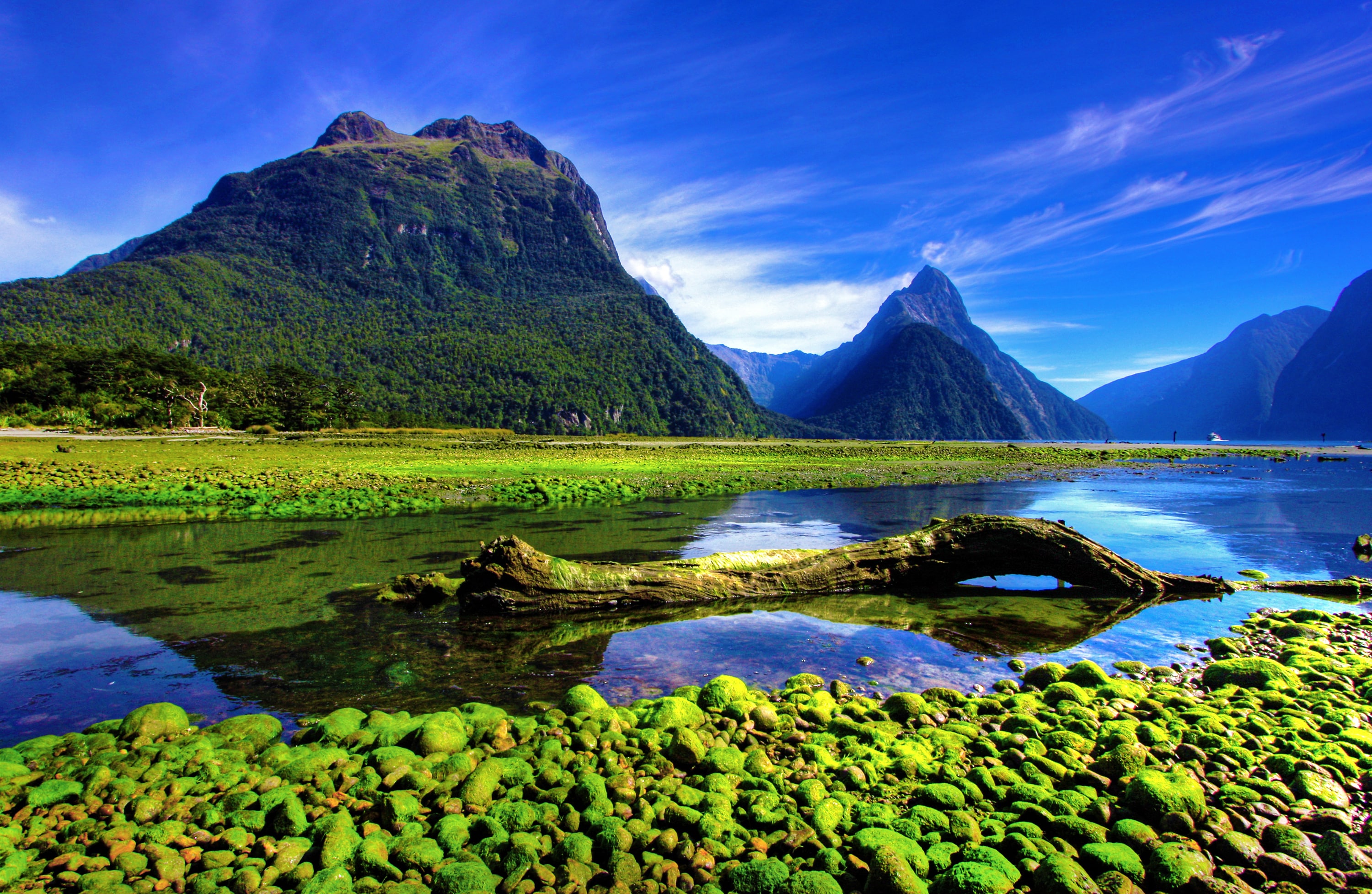 Here’s How to Plan a Trip to Milford Sound