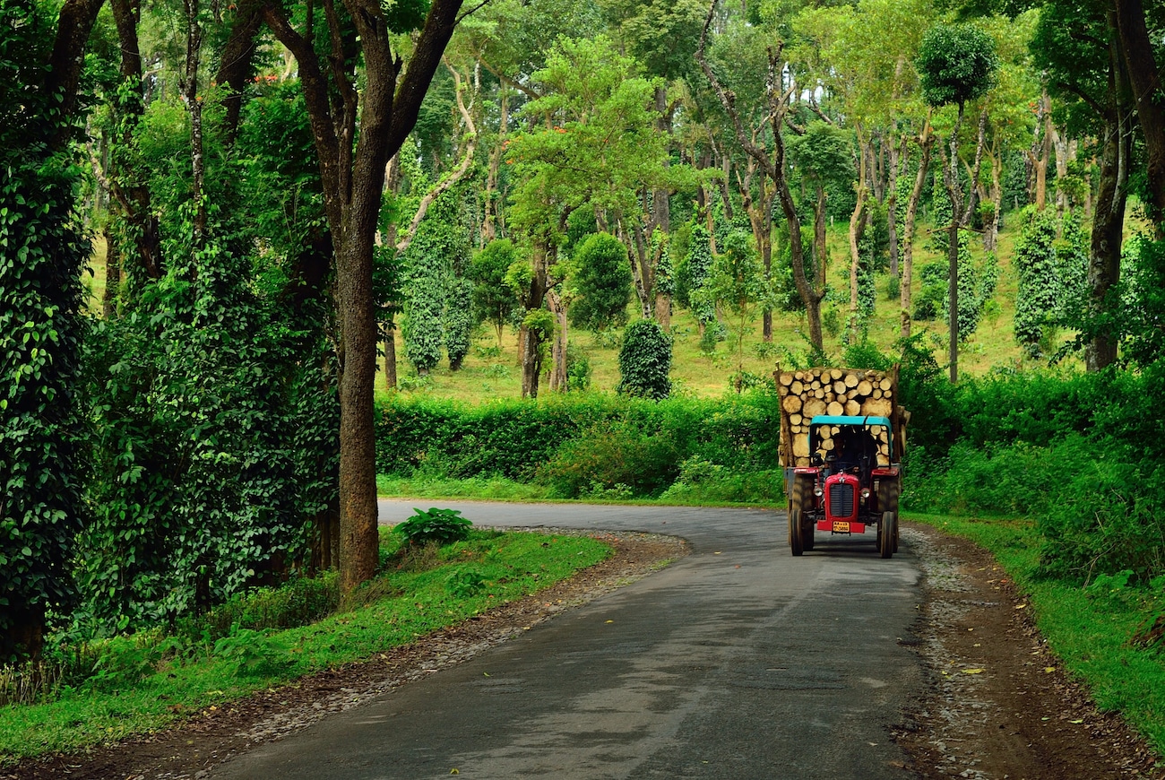 Jungle Resorts in Coorg