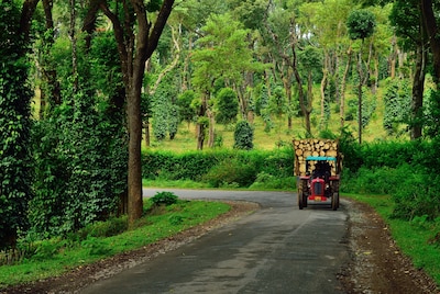 Jungle Resorts in Coorg