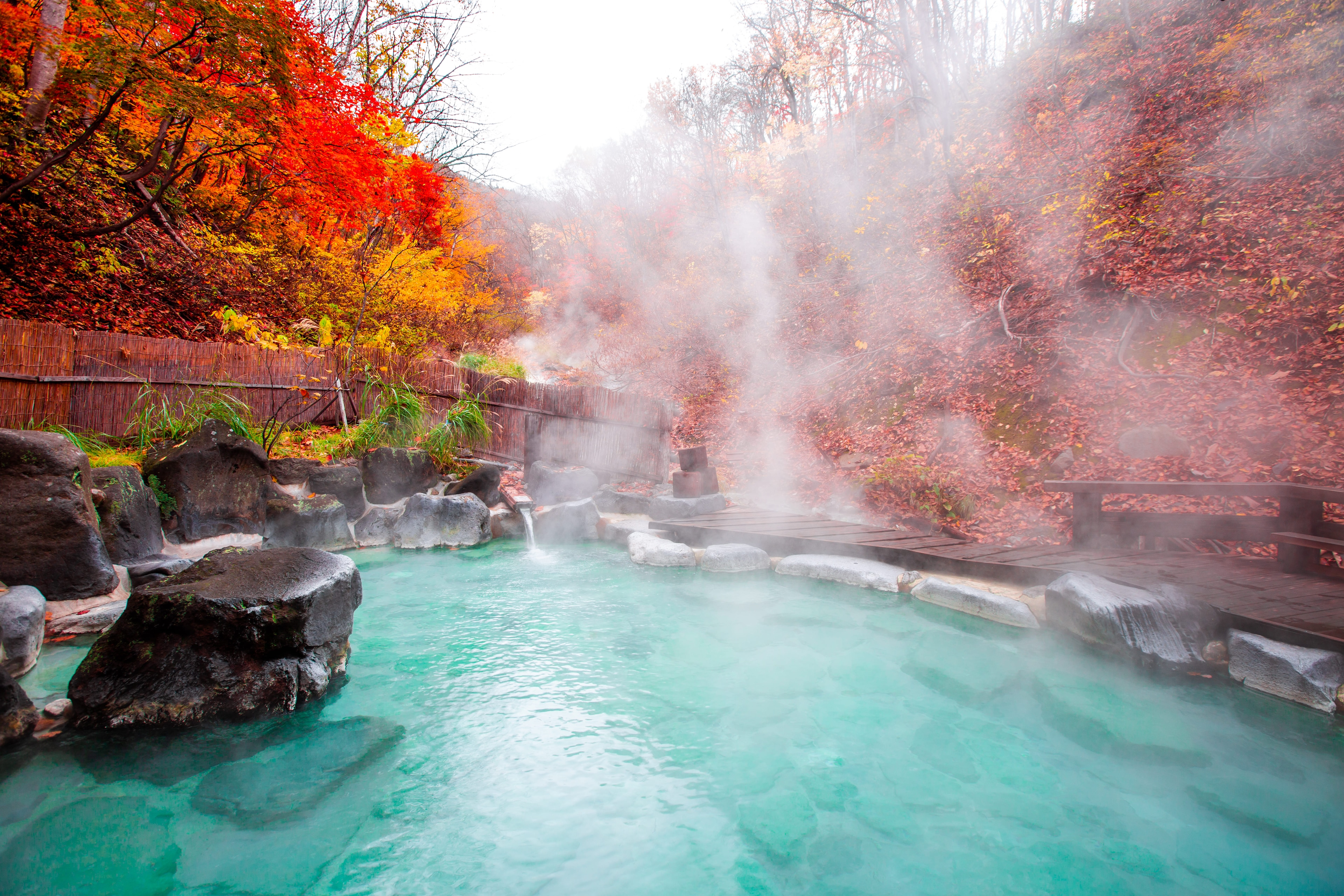 Top 14 Hot Springs in Japan You Need to Visit on Your Next Vacation