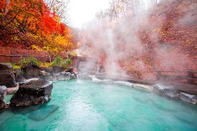 Top 14 Hot Springs in Japan You Need to Visit on Your Next Vacation