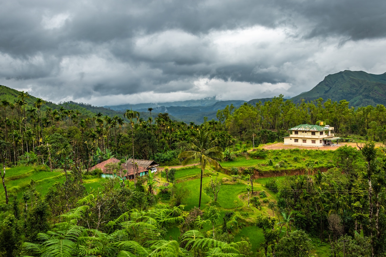 Feast Your Senses: A Guide to the Best Restaurants in Ooty!