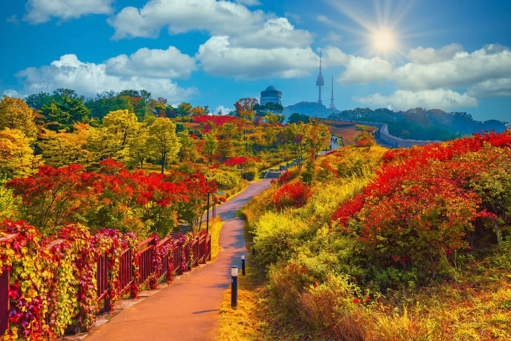 Namsan Park