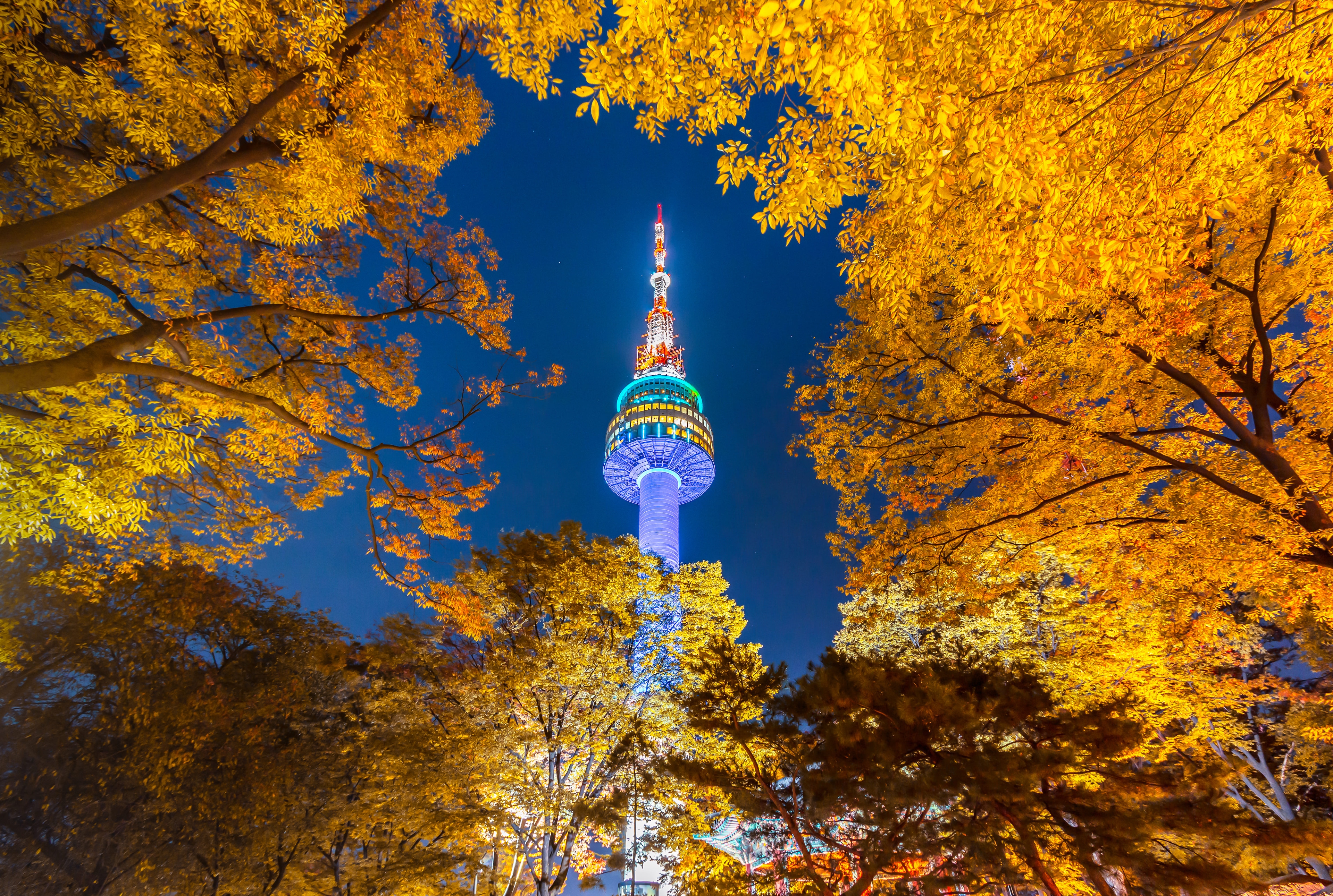 Top Things to Do Near Namsan Seoul Tower