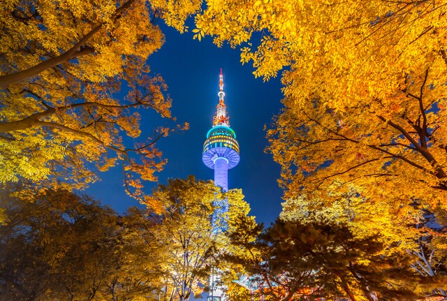 Top Things to Do Near Namsan Seoul Tower | Veena World