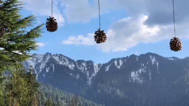 13 Tree Houses in Jibhi that Will Make Your Vacation A Dream Come True