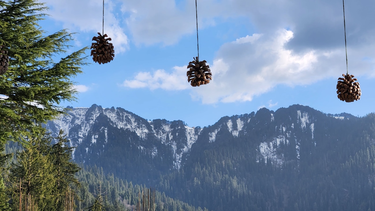 13 Tree Houses in Jibhi that Will Make Your Vacation A Dream Come True