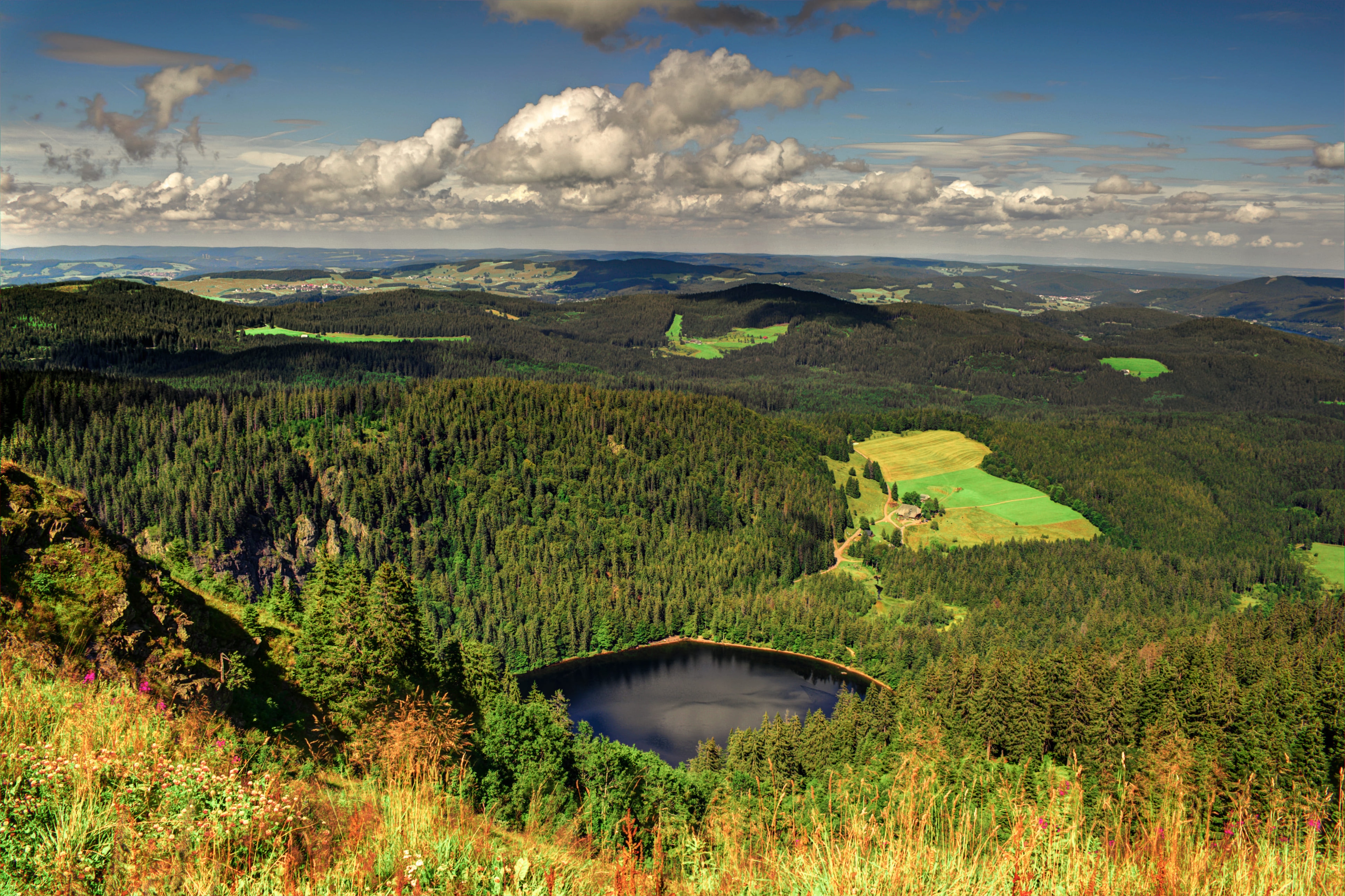 Black Forest in Germany: Must-See Attractions When You Visit | Veena World