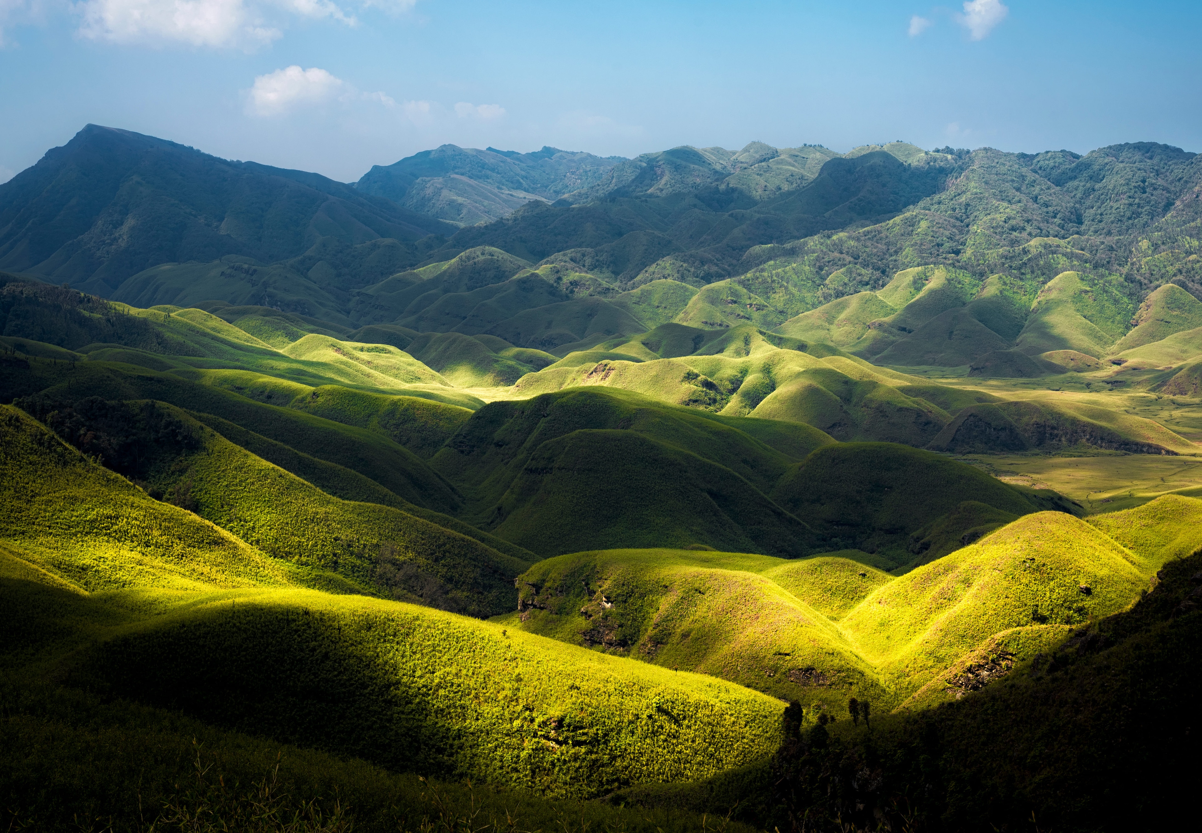 10 Unforgettable Things to Do in Dzukou Valley Nagaland