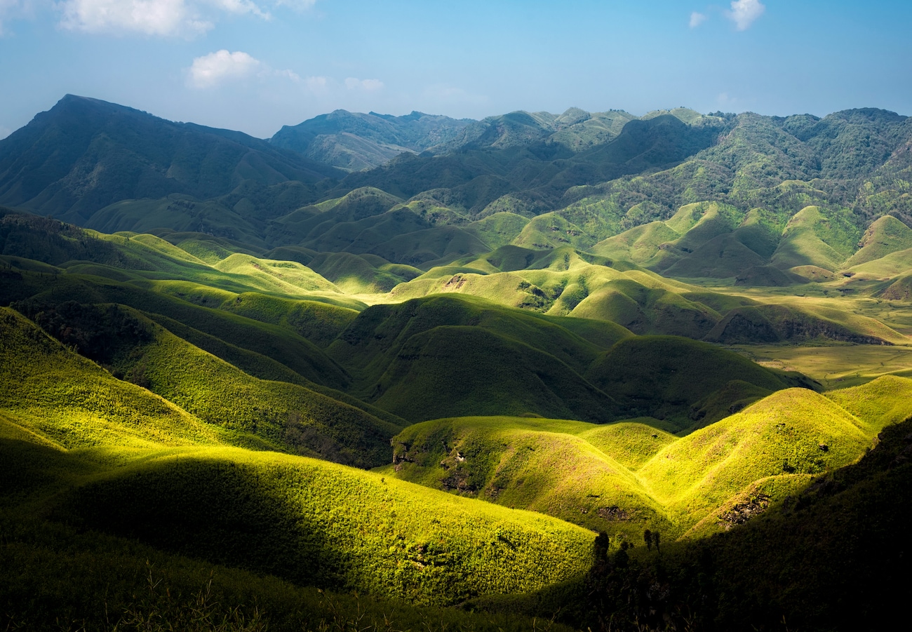 10 Unforgettable Things to Do in Dzukou Valley Nagaland