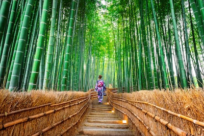 All You Need to Know about the Arashiyama Bamboo Forest in Kyoto, Japan