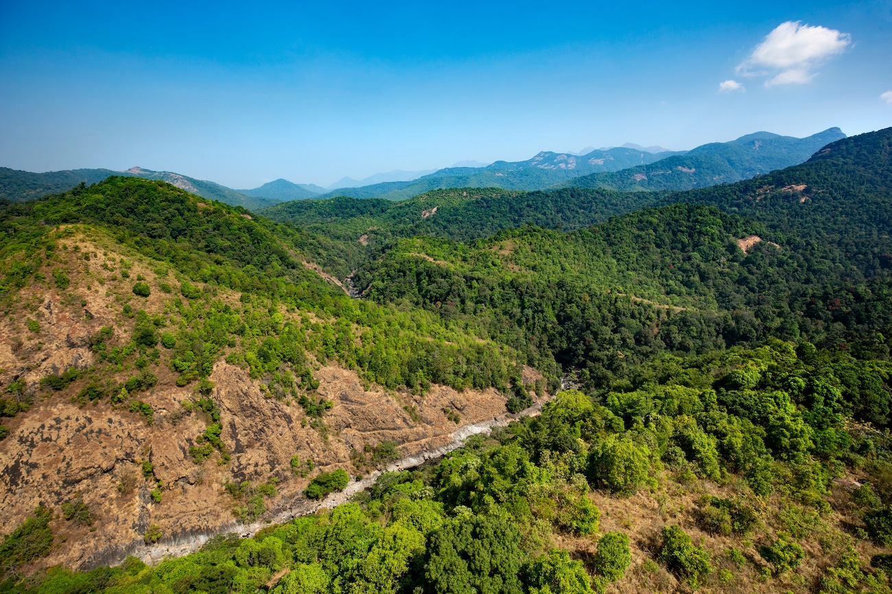 Everything You Need to Know About Silent Valley National Park