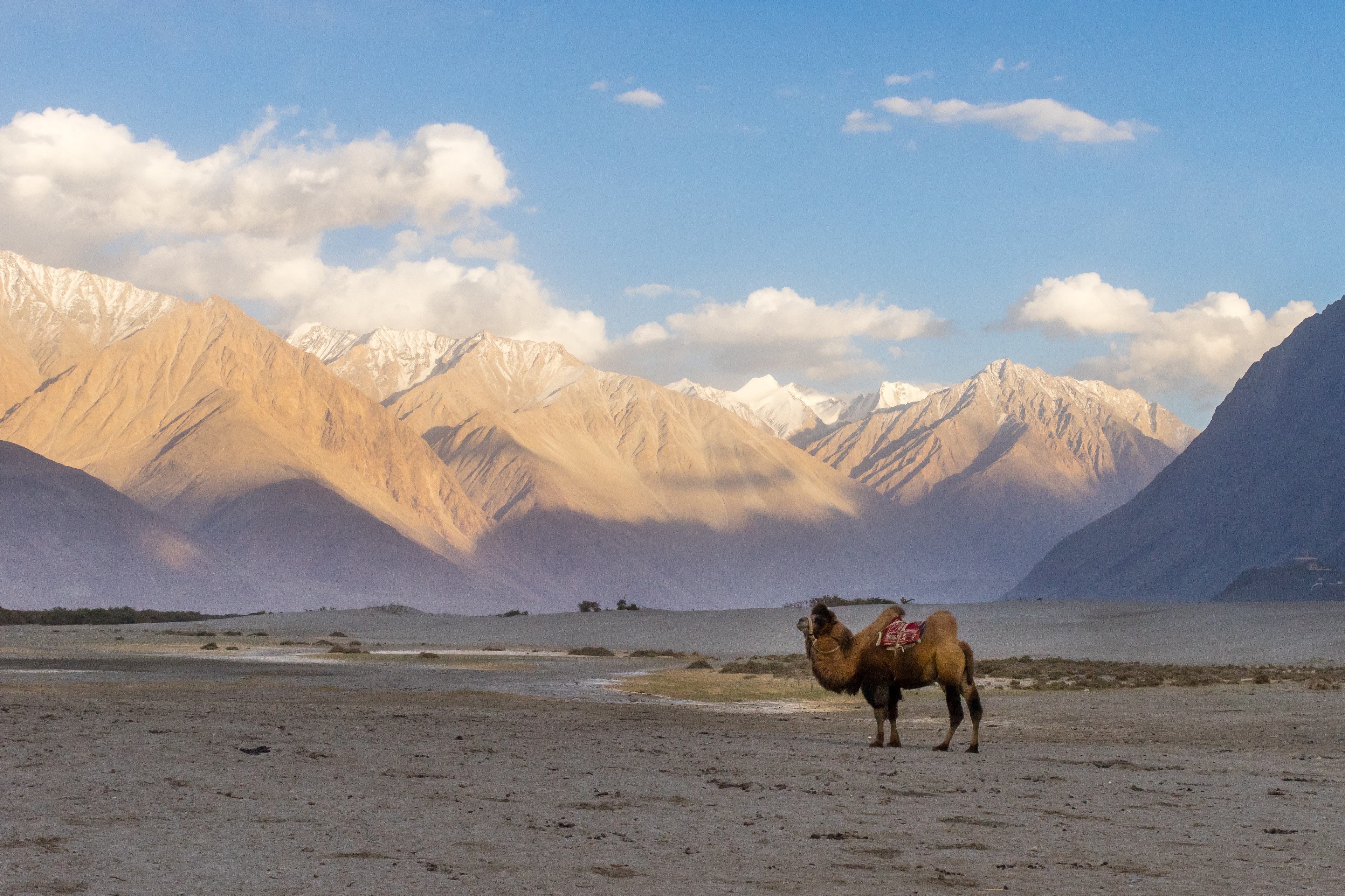 The Off-Beaten Path of the Nubra Valley - The Camping Station of