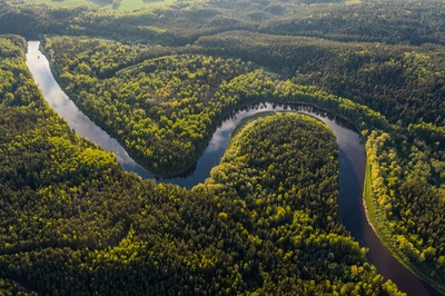 Visit the Most Fascinating Places on Earth, The Amazon Rainforest