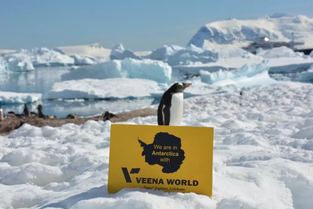 Image of a Penguin in Antarctica