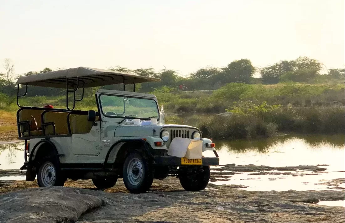 The Great Indian Road Trip with Veena World Veena World