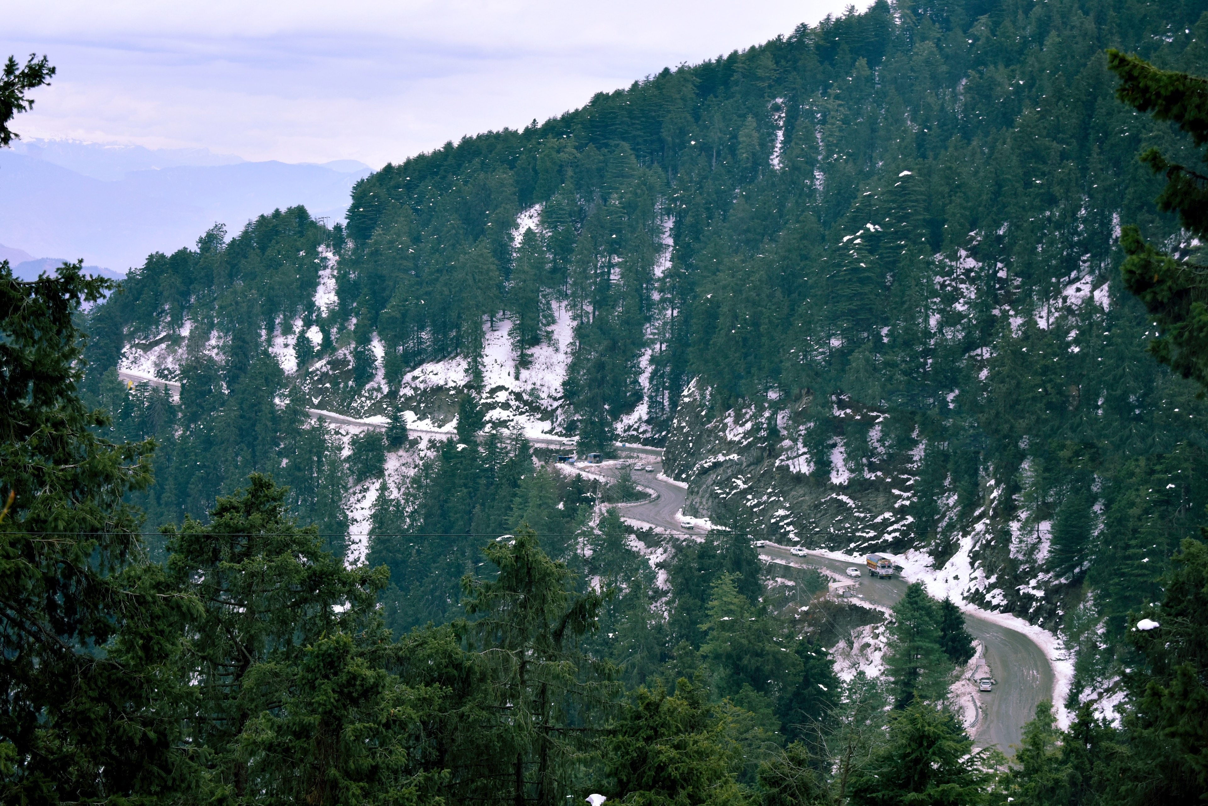 Snowfall in Shimla - Winter Secrets of the Summer Capital of India