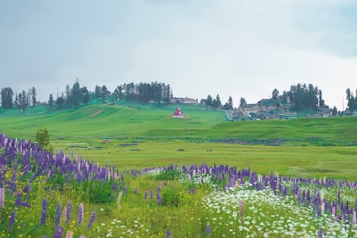11 Things to Do in Gulmarg for a Memorable Kashmiri Experience