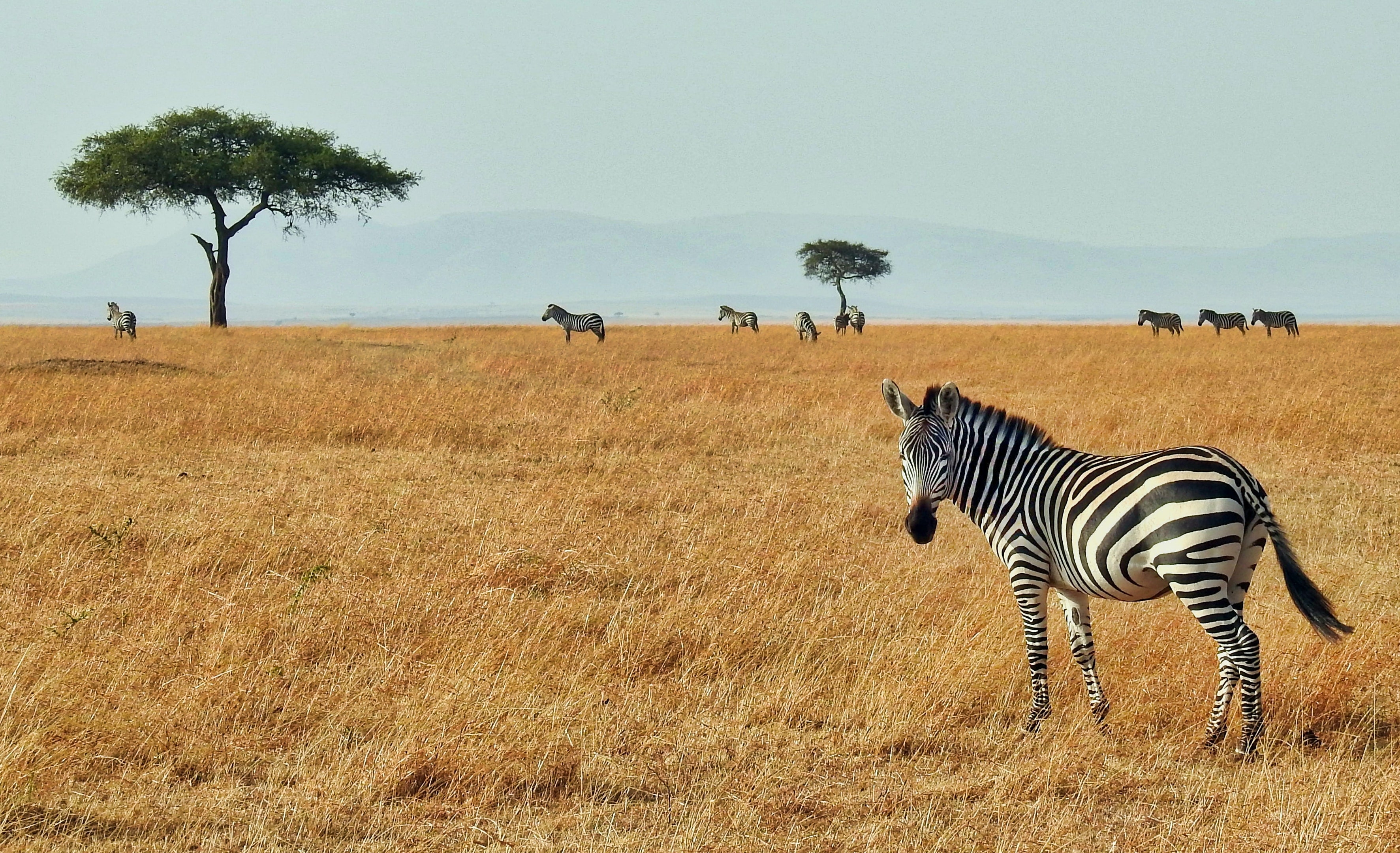 8 of the Best Places to Visit in Kenya