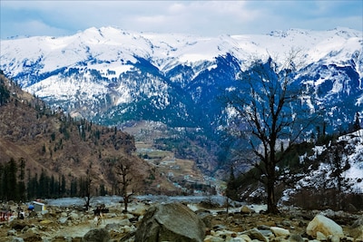 Seasons of Solang Valley: A Travel Guide for 2024