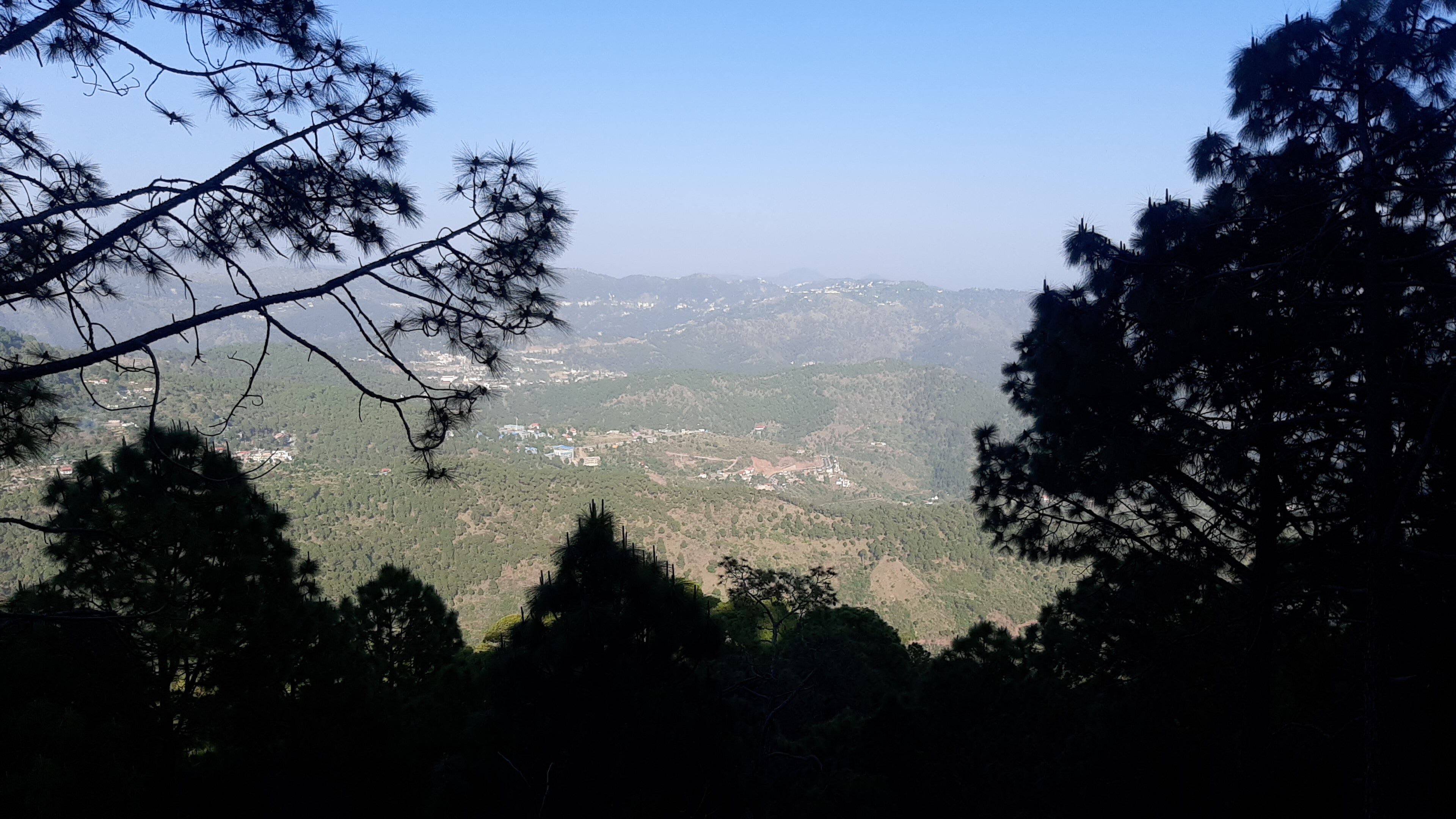 Top Resorts in Kasauli for The Best Scenic Views