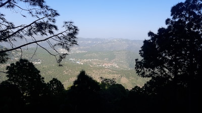 Top Resorts in Kasauli for The Best Scenic Views