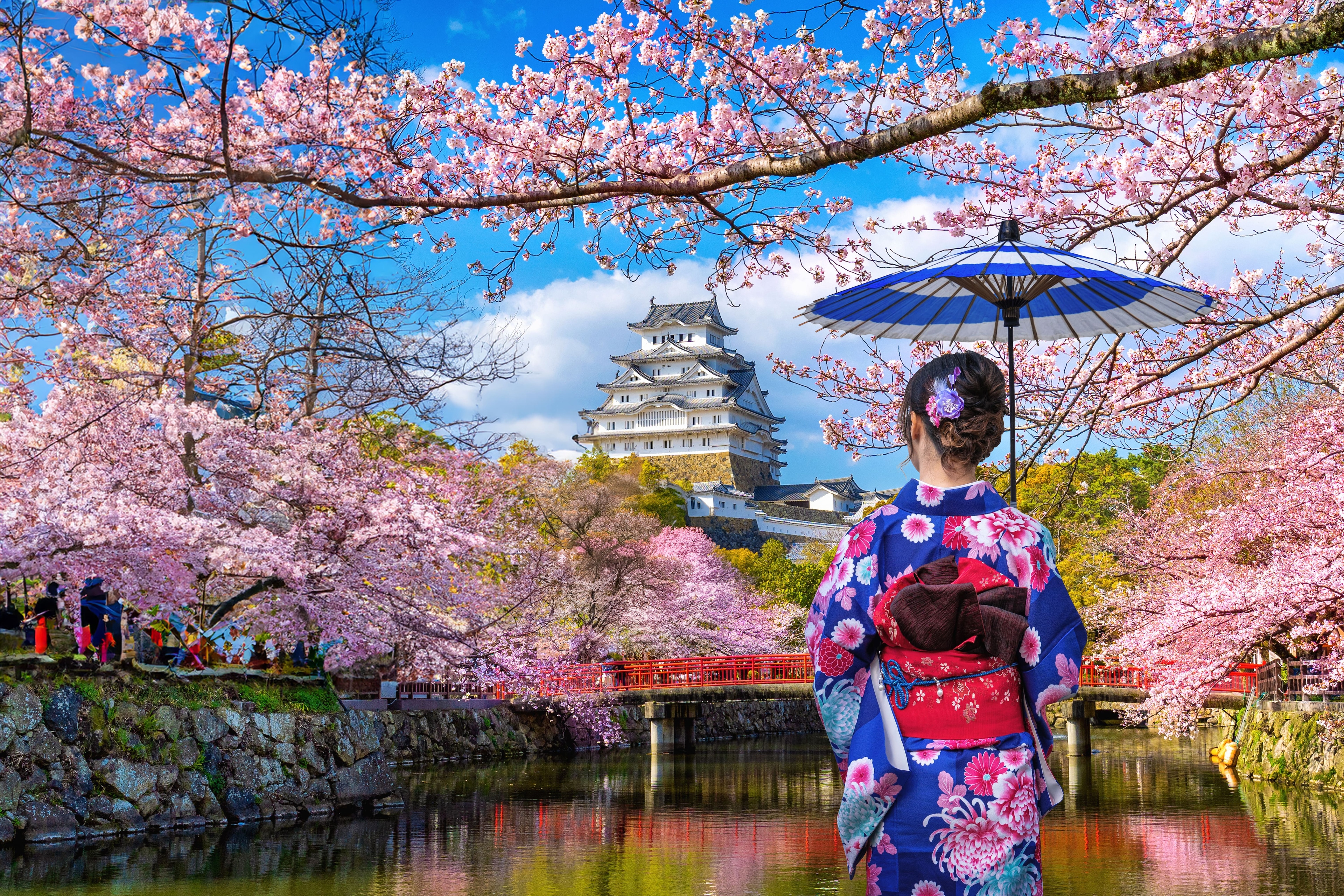 Japan: What next after the Cherry Blossoms?