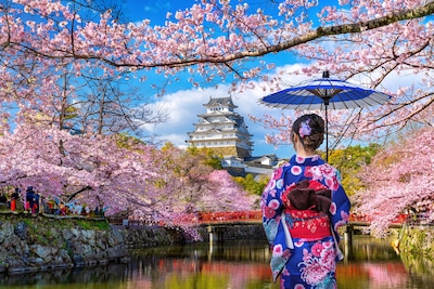 Japan: What next after the Cherry Blossoms?