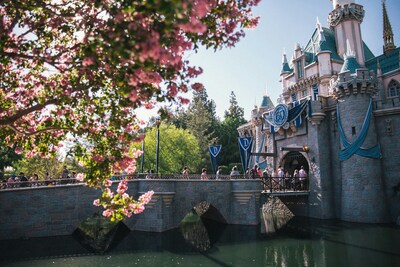 An Insider's Guide to Disneyland California Adventure Park