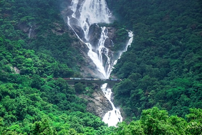 A Journey Through the Majestic Waterfalls of India