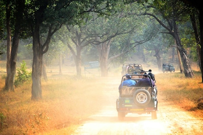 An Exciting Trip to Bandhavgarh National Park: Explore the Wildlife Sanctuary