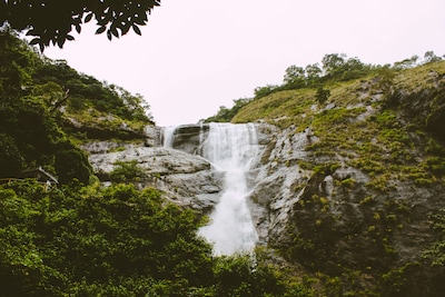 Palaruvi Falls Kerala: Your Complete Travel Guide
