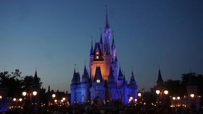All You Need to Know for Your Trip to Walt Disney World, Florida