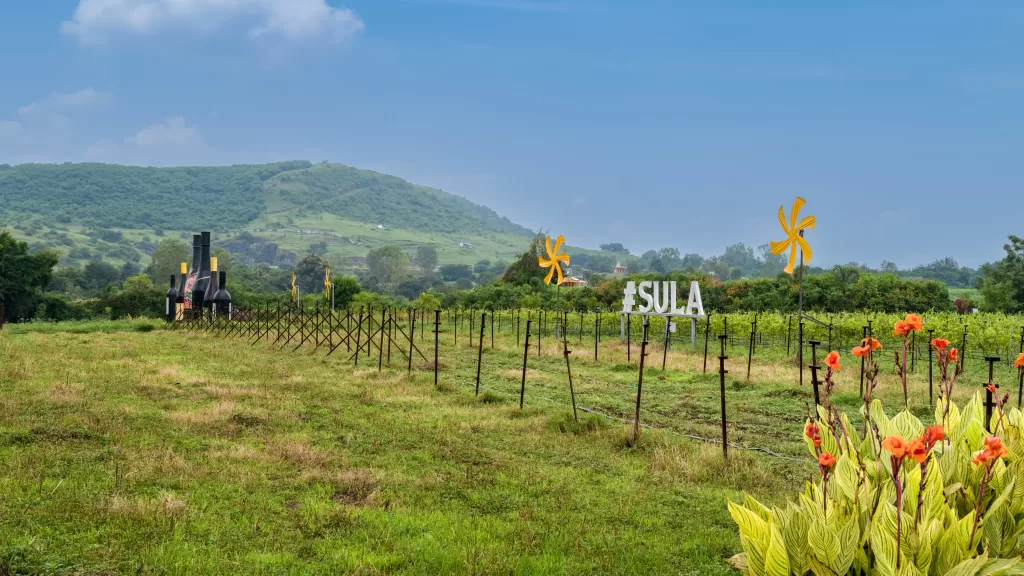 Sula Vineyard