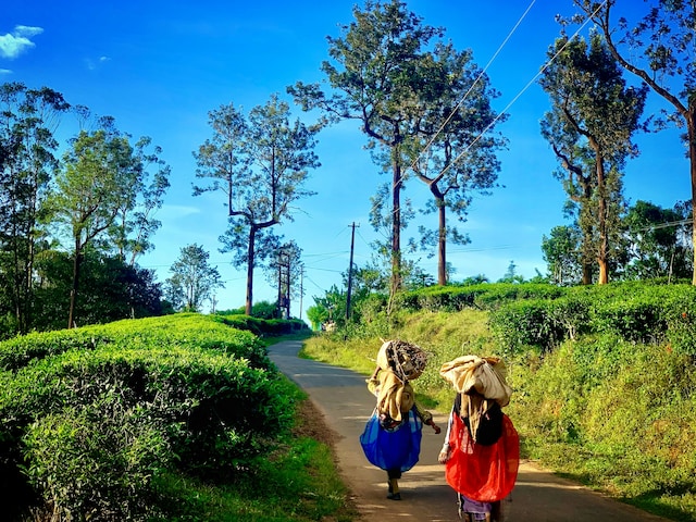 Top 9 Fun Filled Things To Do In Wayanad 