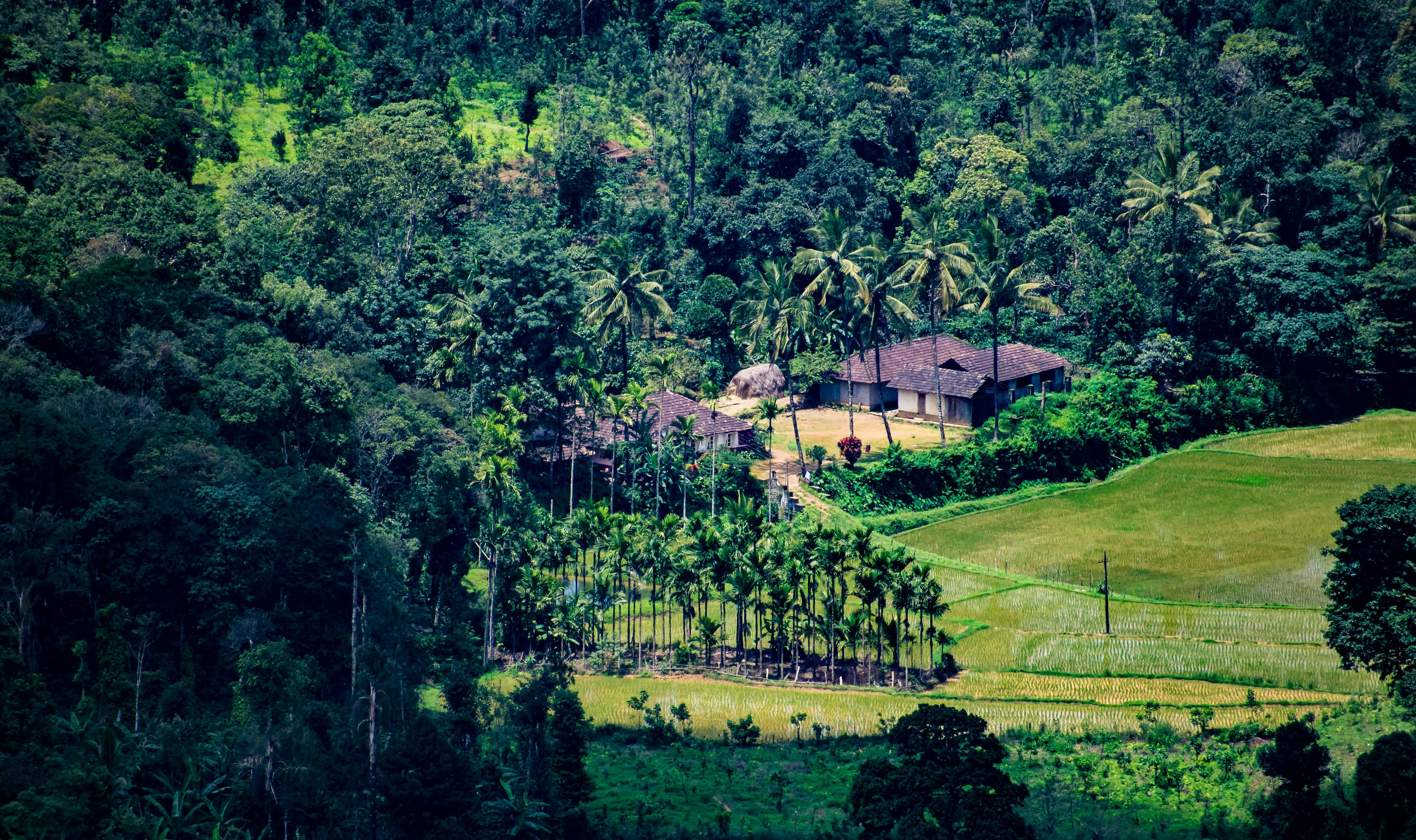 Everything You Need to Know about Shree Omkareshwara Temple, Coorg