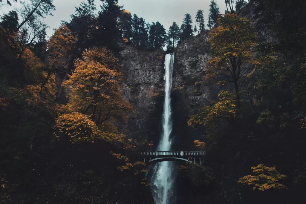 Multnomah Falls Nature’s Bounty