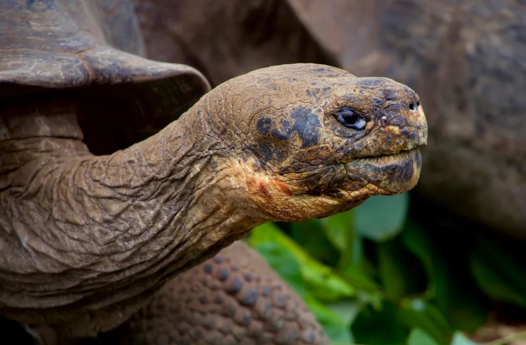 Places to Visit in Galapagos Islands