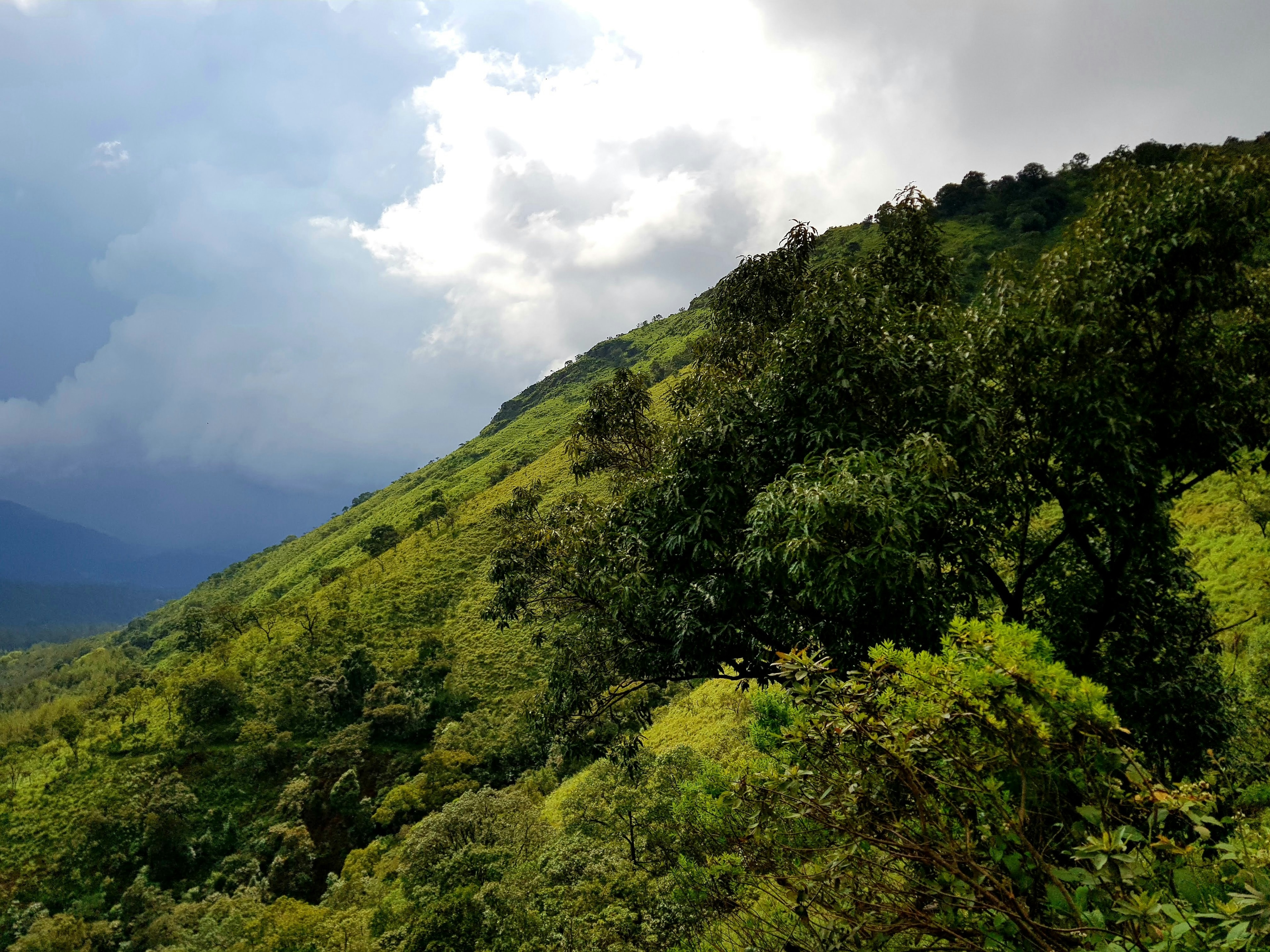 Waterfalls in Chikmagalur: A Mesmerizing Hill-Village Nestled in The Western Ghats