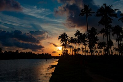 Top 10 Scenic Places to Visit Near Kochi for a Dream Getaway