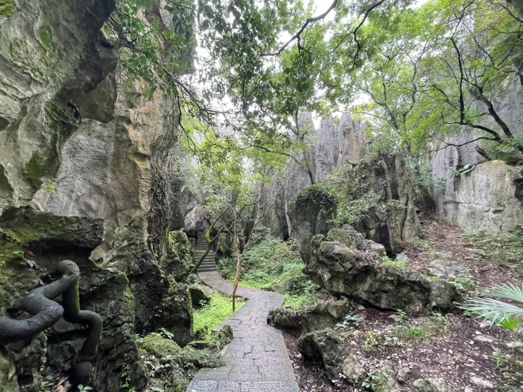 Stone Forest