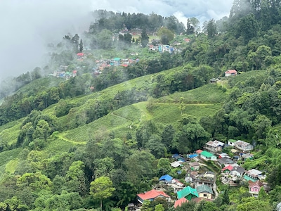 Top 9 Restaurants in Darjeeling