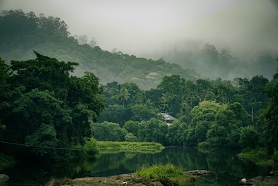 Here are the Best Restaurants in Thekkady