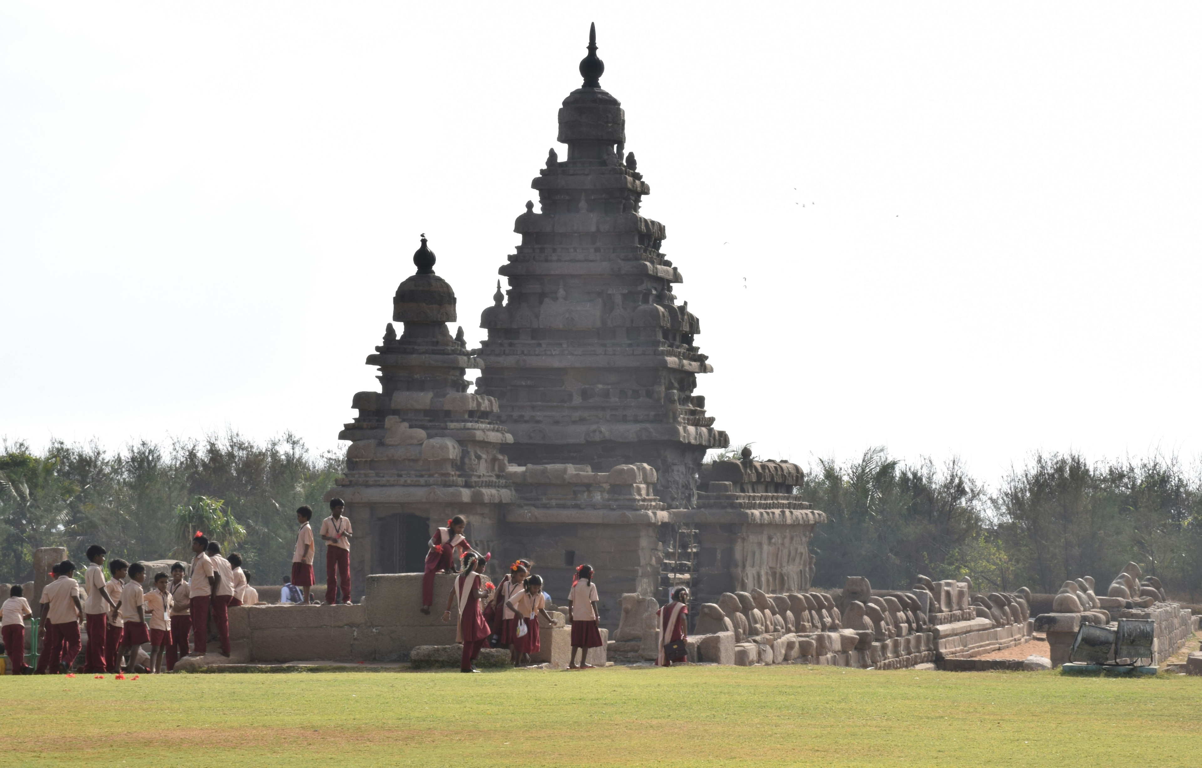 Top Things to Do in Thanjavur - Exploring Ancient Temples and Palaces