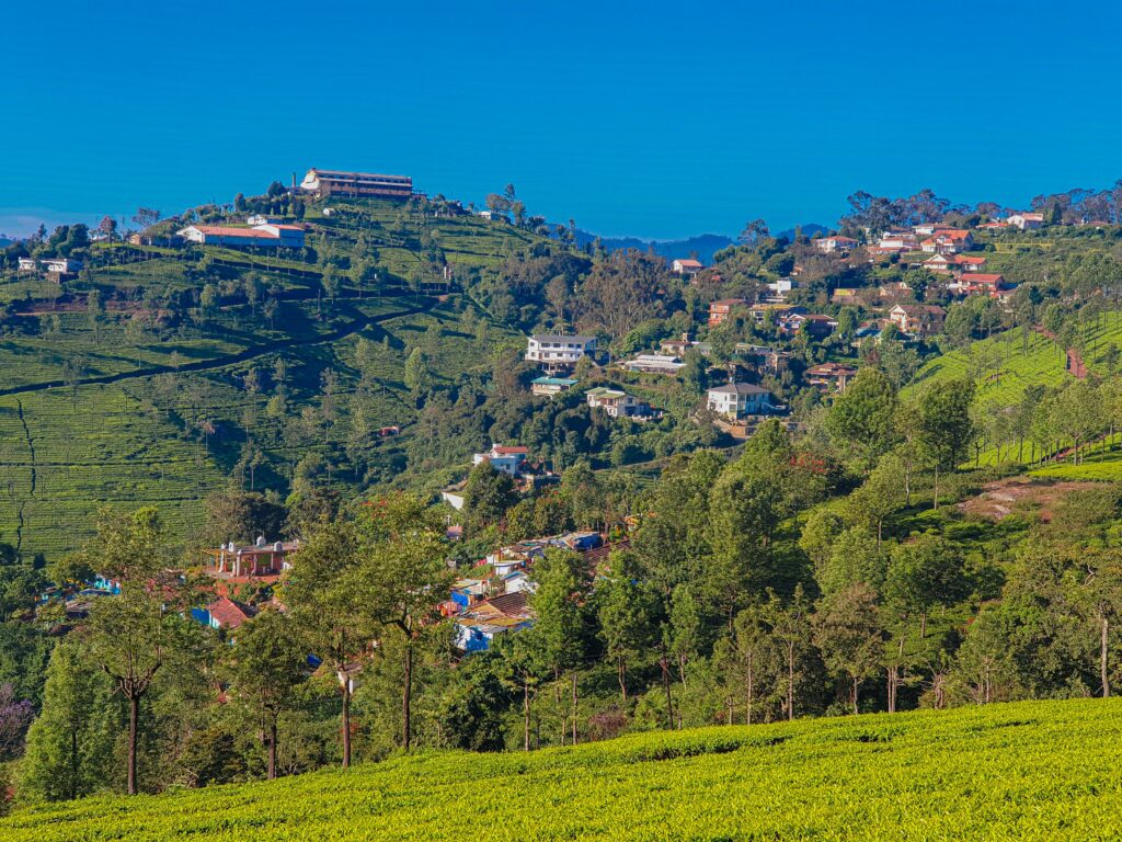 Experience Spiritual Bliss at the Temples in Ooty