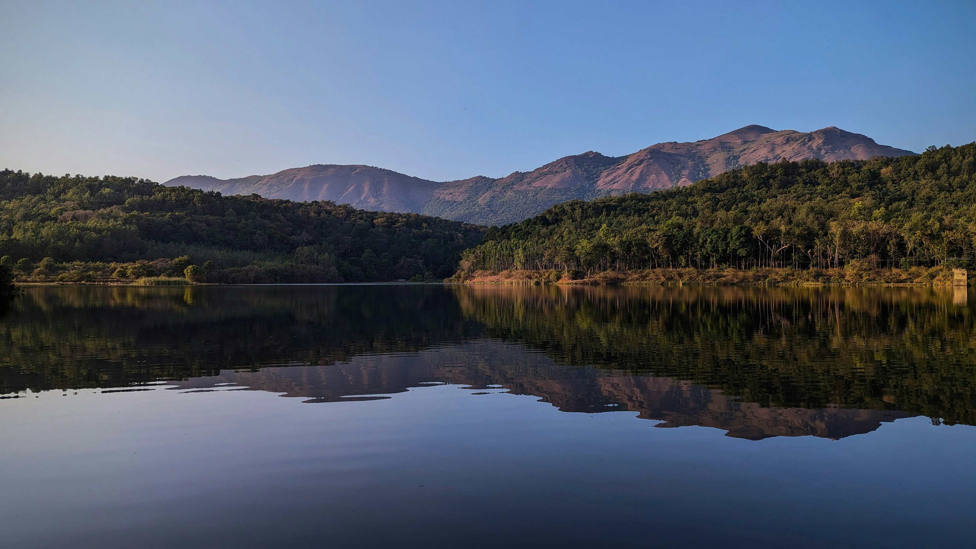 From Coffee Beans to Nature’s Bounty: Exploring the Best Things to Do in Chikmagalur