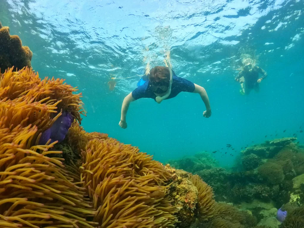 Snorkeling and Diving