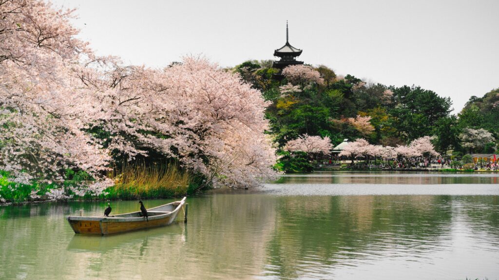 Get Acquainted with These 6 Cities in Japan